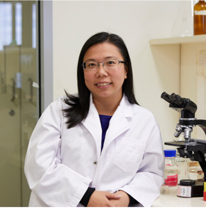 Dr. Xiaowei Wang